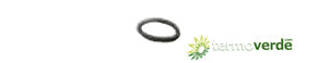 Bandini guarnizione ORING per scaldabagno A5 Q12 B30