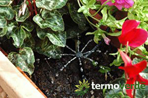 Gocciolatori regolabili Teco Ottima Spike 360° - pz 25