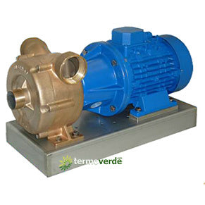 Liverani EP 70 Bronzo M 2''½ Pompa nautica 3~230/400V