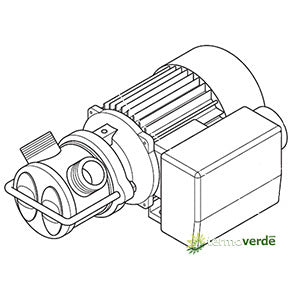 Liverani EP Junior I 1''¼ Pompa nautica 1~230V TE1 BYPASS